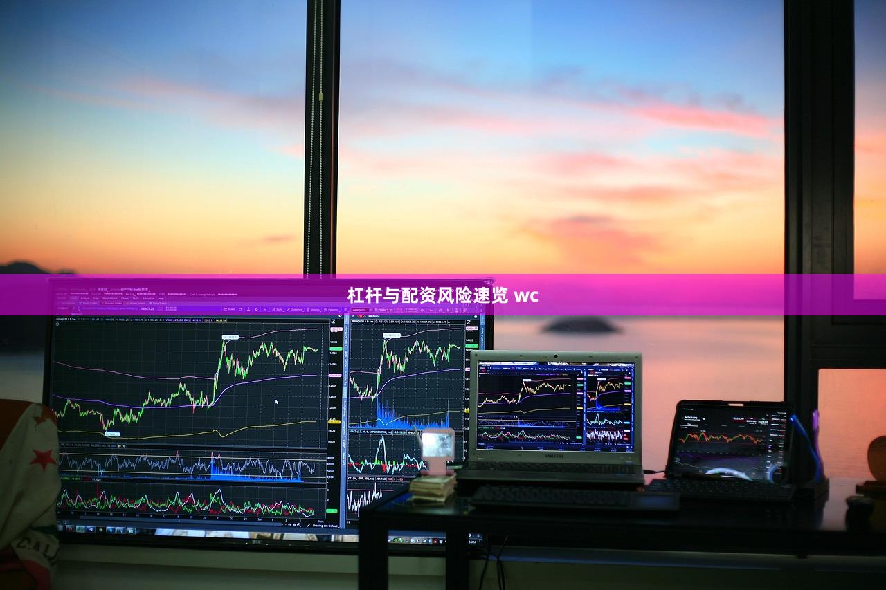 杠杆与配资风险速览 wc